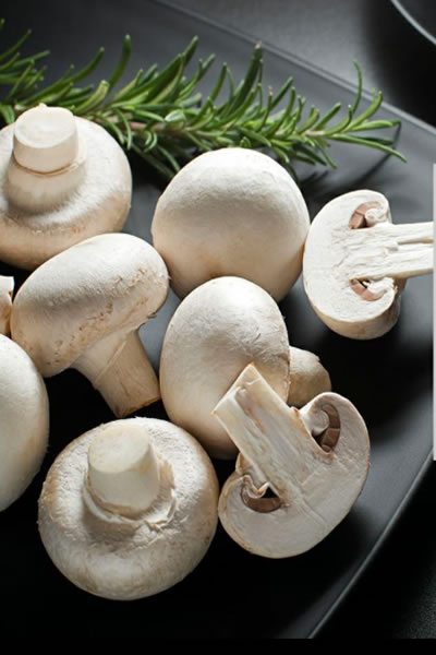 ce beneficii au ciupercile